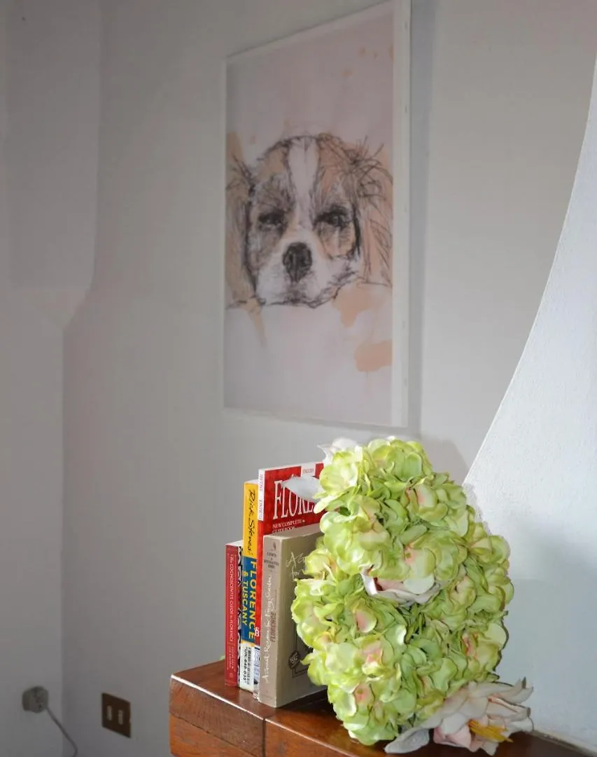 Agnolo Apartment Florencie